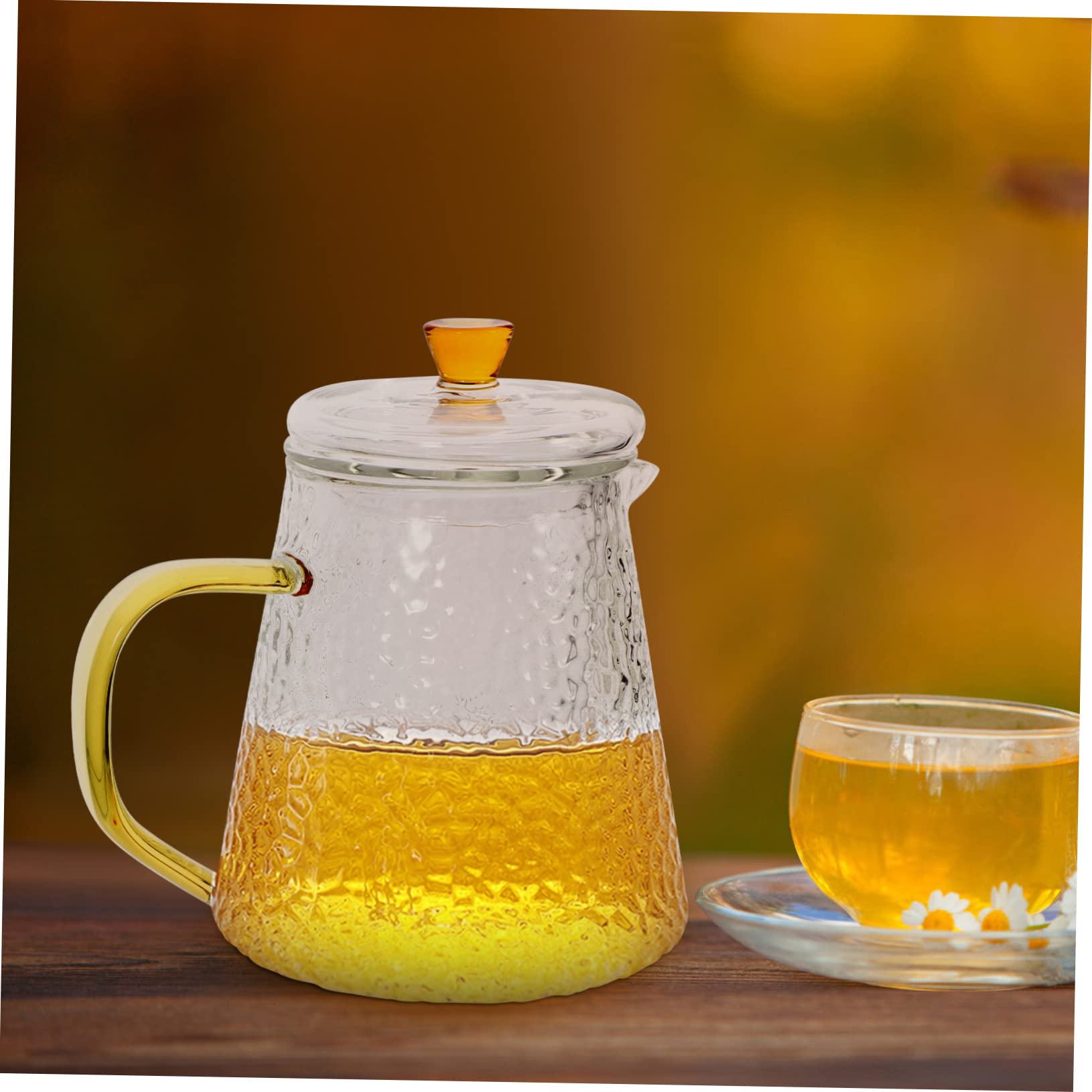 Handliche Teekanne aus Hochhitzebeständigem Borosilikatglas 600ml mit Integriertem Sieb und Transparenter Optik für Losen Tee Zuhause und Büro