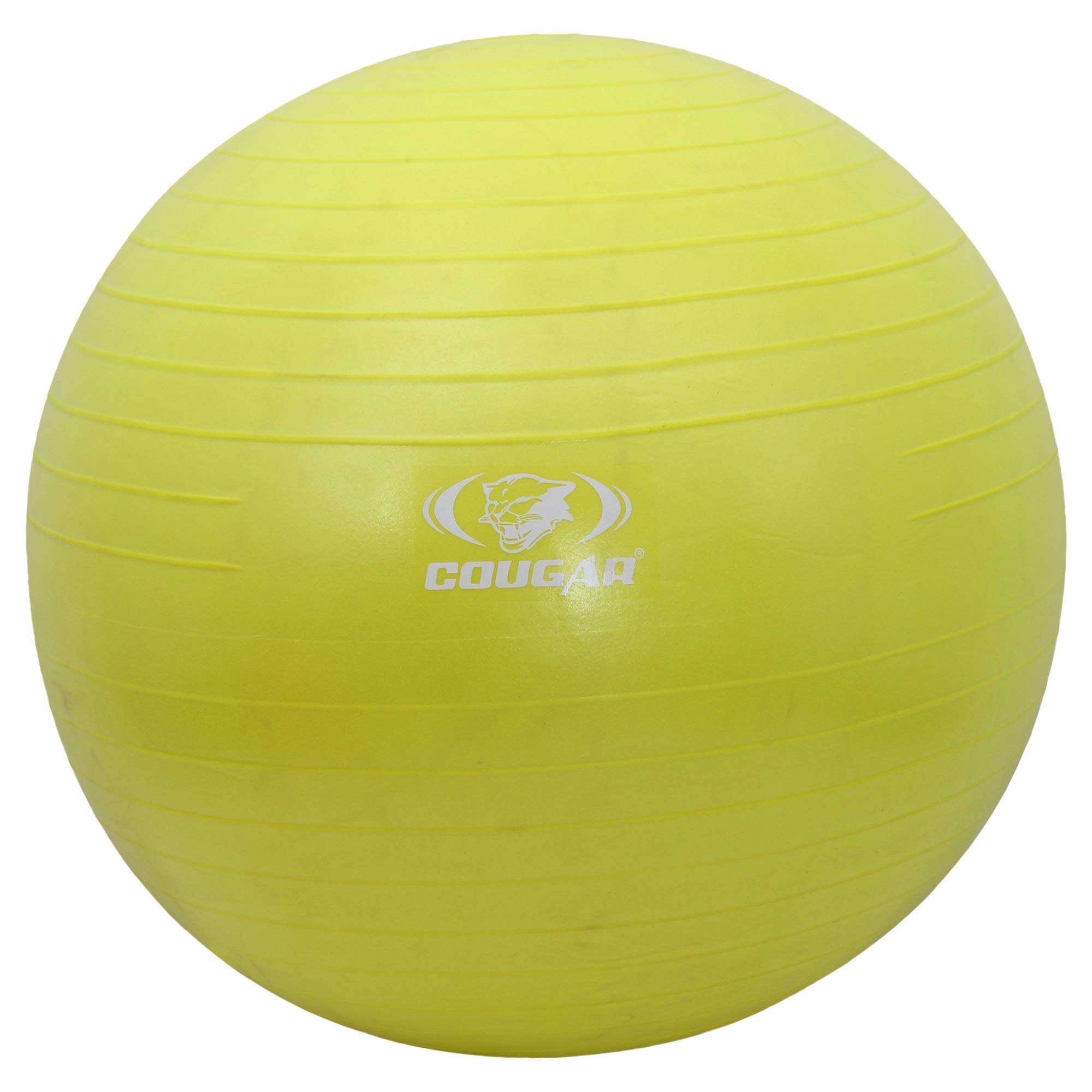 COUGAR Anti Burst Gym Ball/Swiss Birthing Stability Ball for Workout & Fitness/Yoga Ball with Foot Pump for Men/Women (75 cm) (B07HLRKKG3) Amazon Price History, Amazon Price Tracker