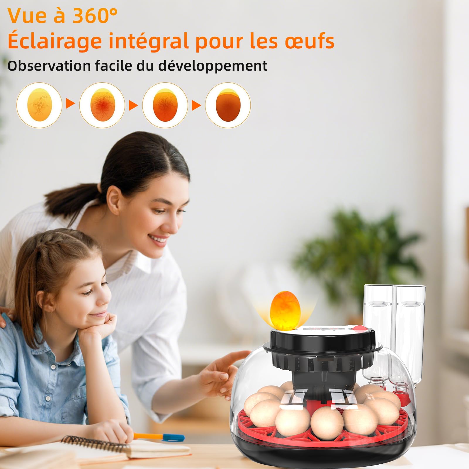 Couveuse Oeuf Automatique, Incubateur Automatique 12 Oeufs, avec Système de Retournement Automatique et Contrôle de la Température,Affichage de l'humidité, pour Éclosion d'Œufs de Poule Canard Caille