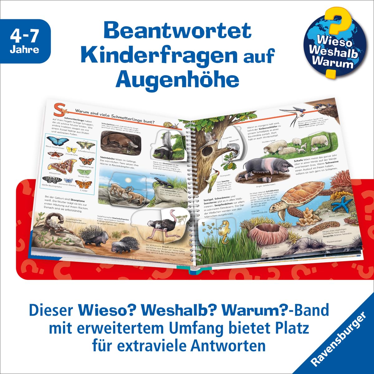 Wieso? Weshalb? Warum? Sonderband - Mein ABC der Tiere (Sachbuch ab 4 Jahre - mit Klappen und riesigem Poster)