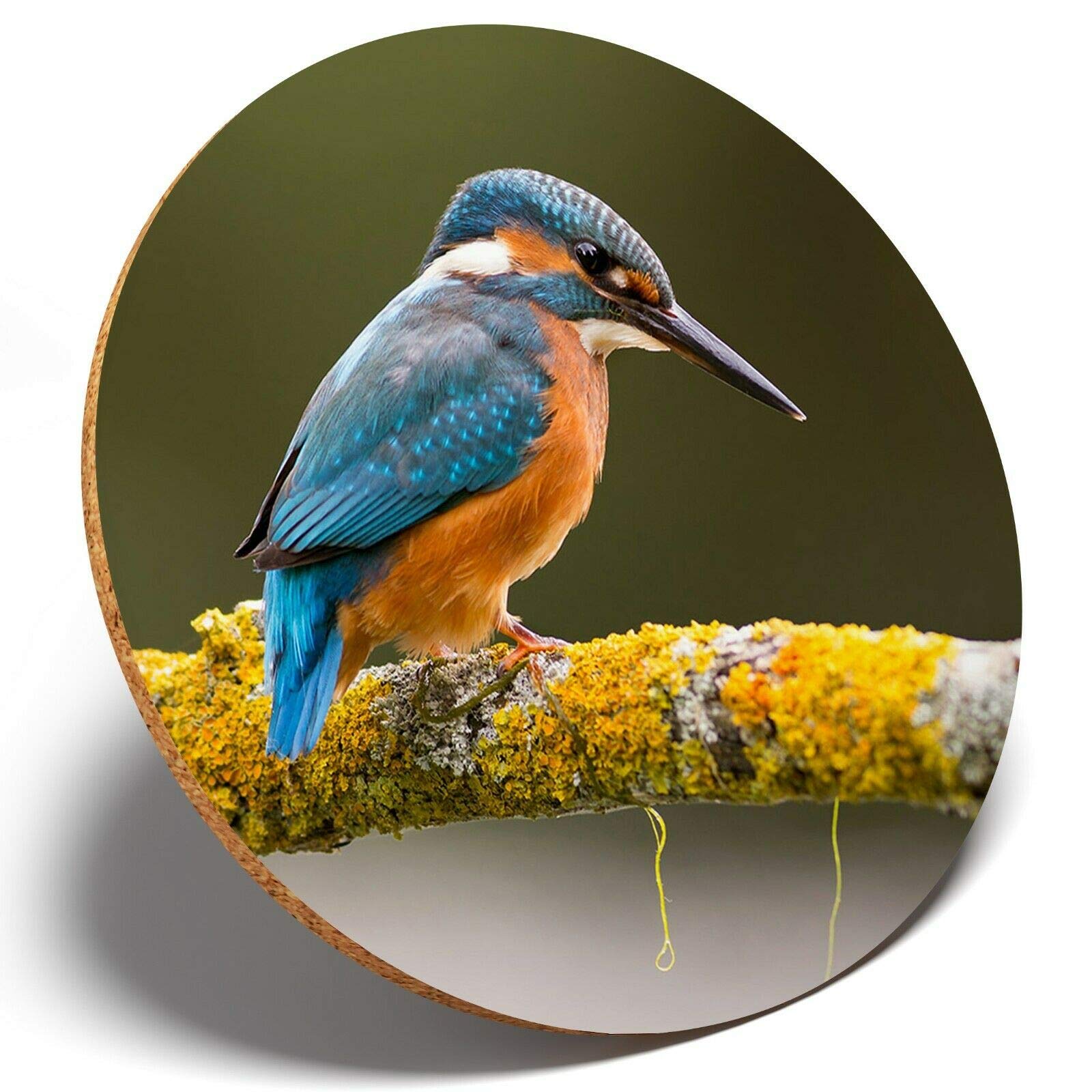 Destination Vinyl Coasters Multicolor 1 X Beautiful Kingfisher - Round Coaster Kitchen Student Kids #15668