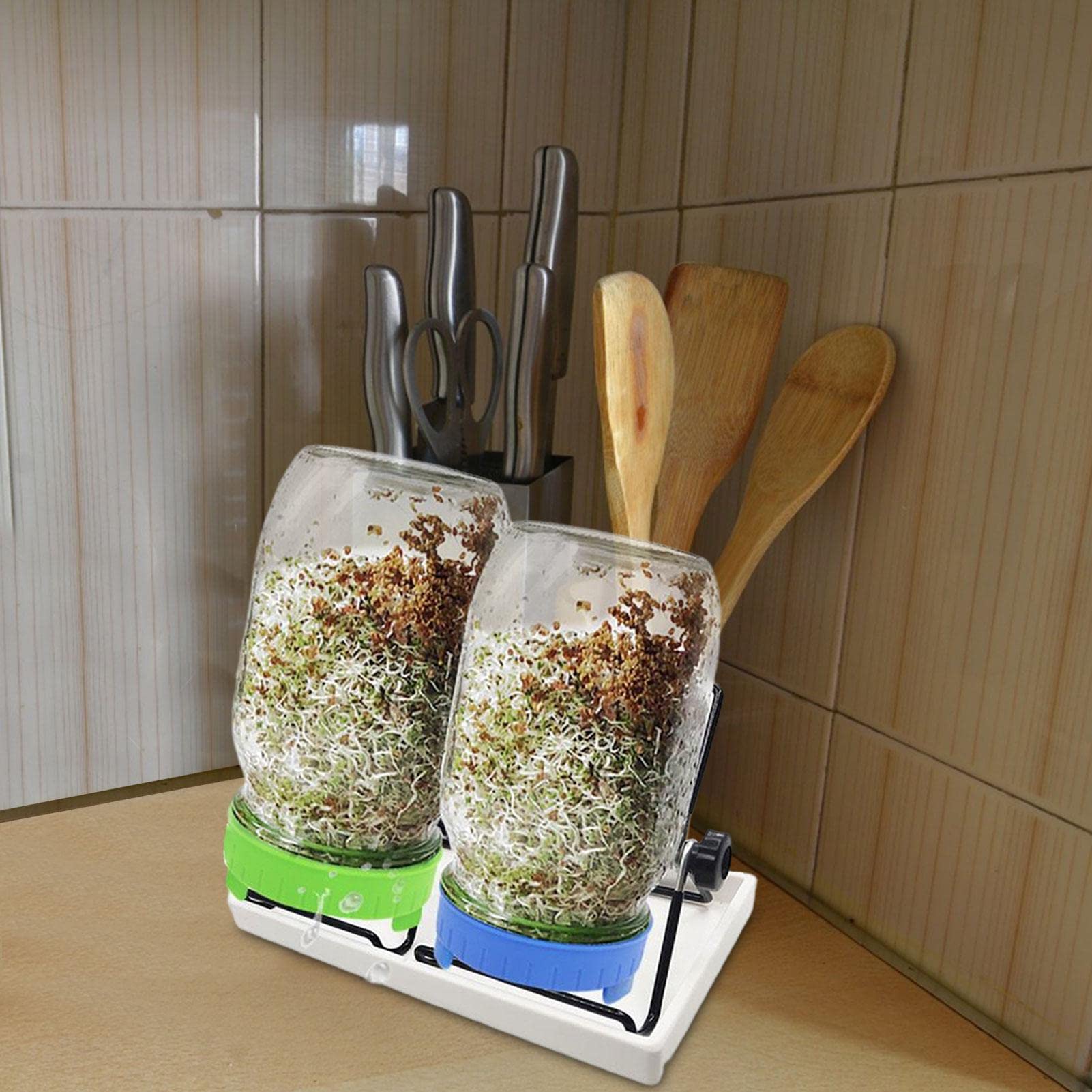 Générique Kit De Pots De Germination – Ensemble De Germoirs De en Acier | Inoxydable | Quart À Large Bouche, Couvercles Et Supports De Germination De Cuisine, Ensemble De Germoirs De, Pot FR