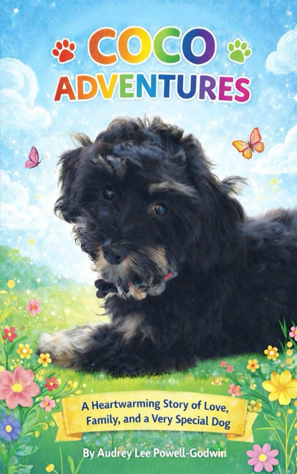 Coco Adventures