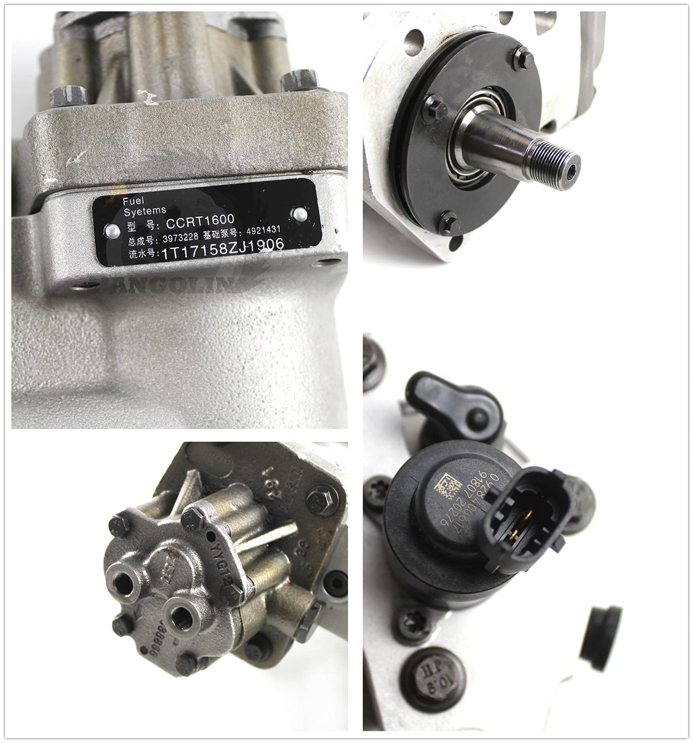 Amazon.com: PANGOLIN 4954314 4954315 2872667 Diesel Engine Fuel  