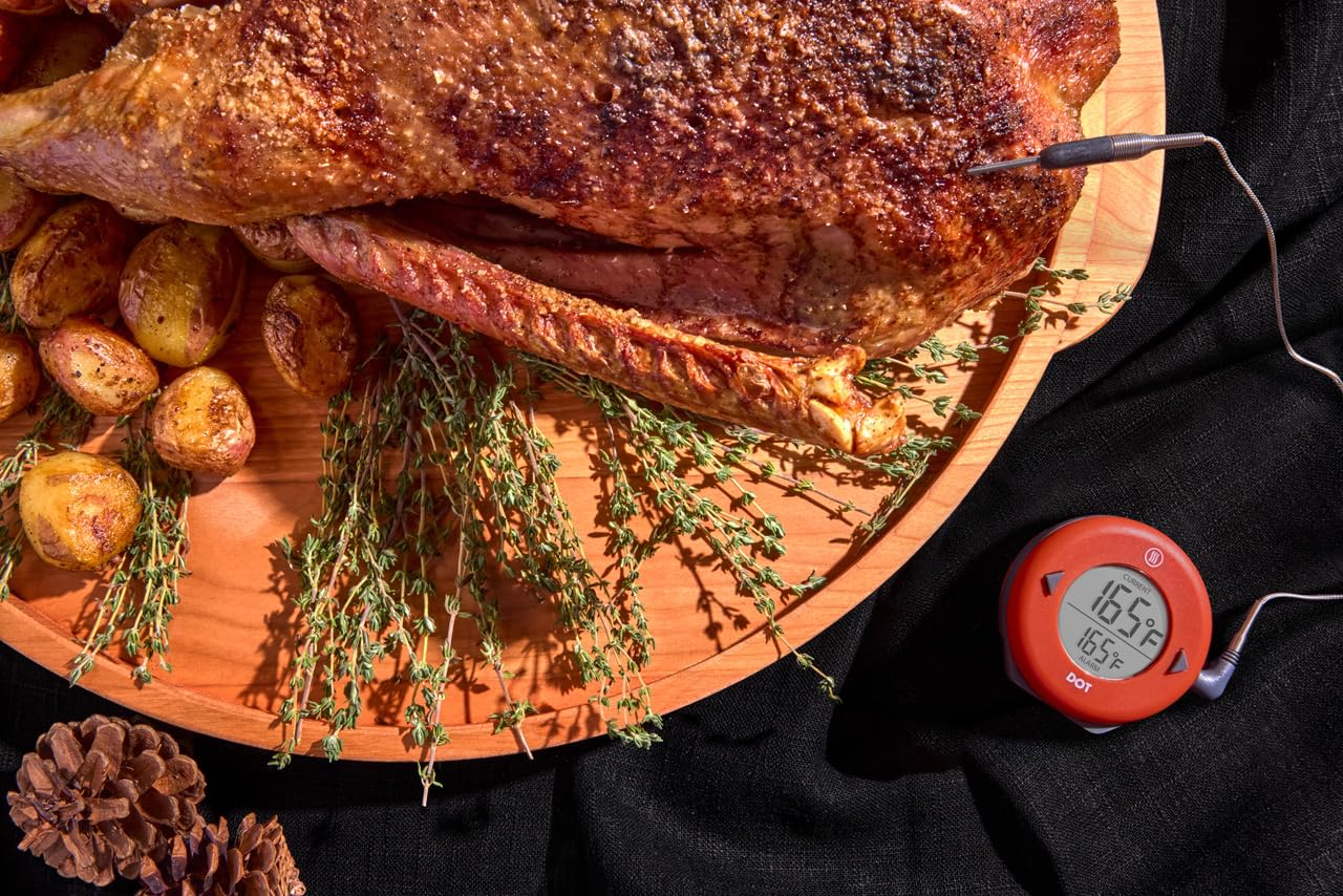 ThermoWorks DOT thermometer monitoring steak temperature