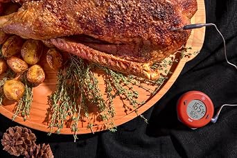 ThermoWorks DOT Chefs Favorite Simple Alarm Thermometer - Nautical Blue