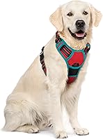 Vista 63 de rabbitgoo Arnés para perro, arnés sin tirones para mascotas con 2 clips para correa, chaleco acolchado suave ajustable para perro, chaleco Oxford