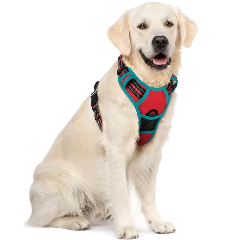 Peitoral Vest para Cães Grandes rabbitgoo com 2 Pontos de Guia, Ajustável, Vermelho e Verde-azulado (X-Large)
