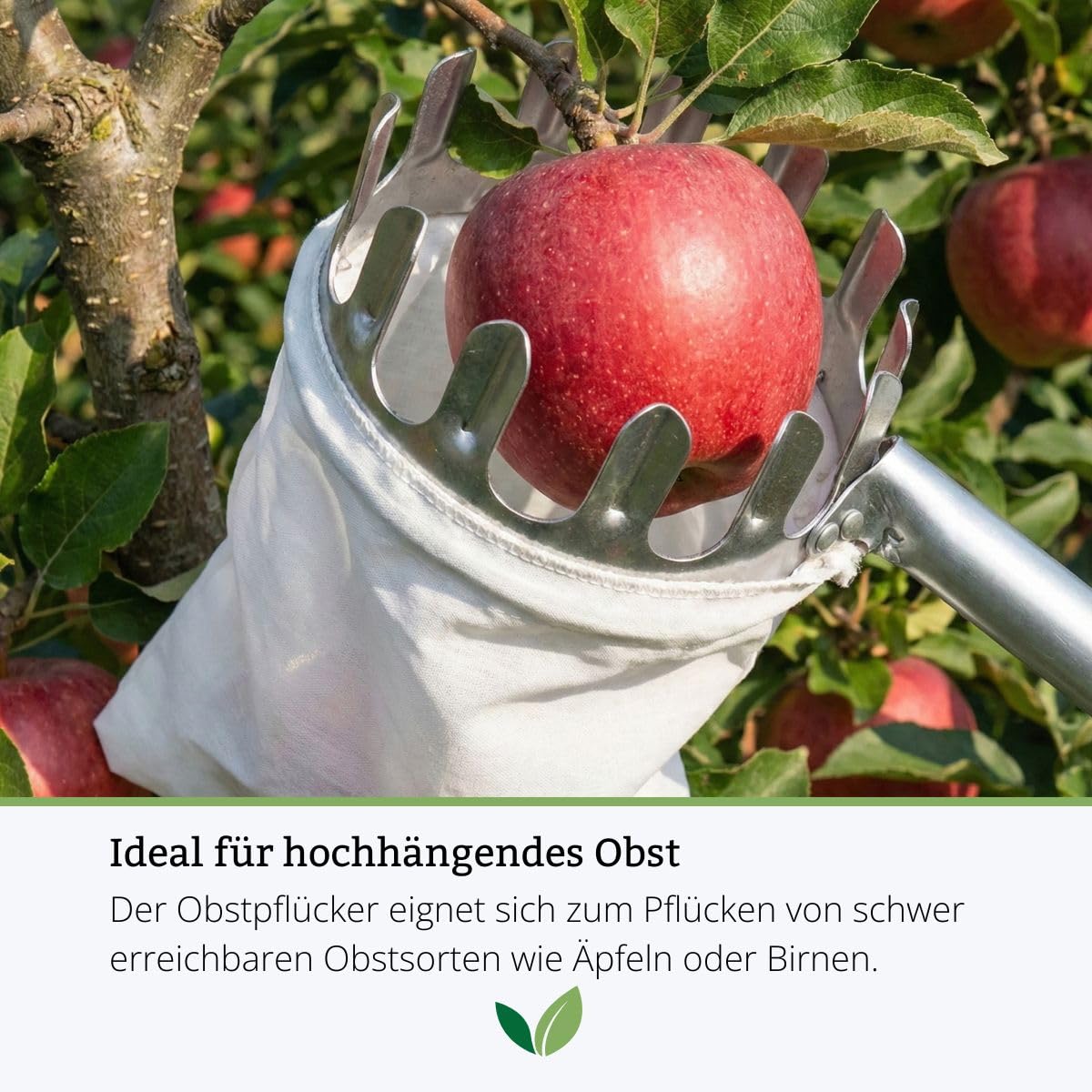 Rekord Obstpflücker mit Teleskopstiel (Stahl, mit Fangbeutel Ø 16 cm) Apfelpflücker, Birnenpflücker, Obstsammler, Obsternter, Erntehelfer, Pflückhilfe