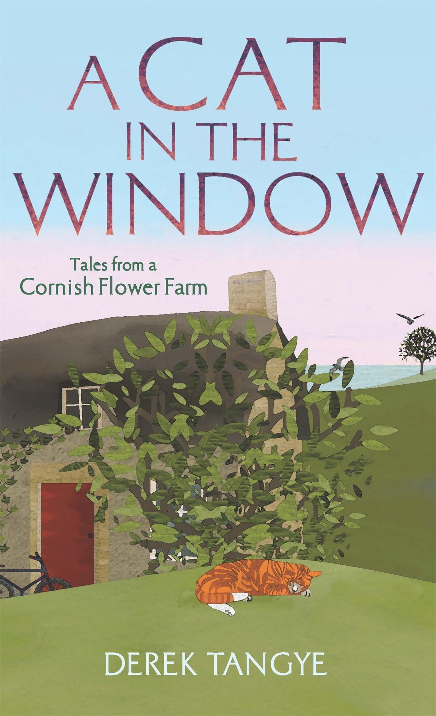A Cat in the Window: Tales from a Cornish Flower Farm (Minack Chronicles)