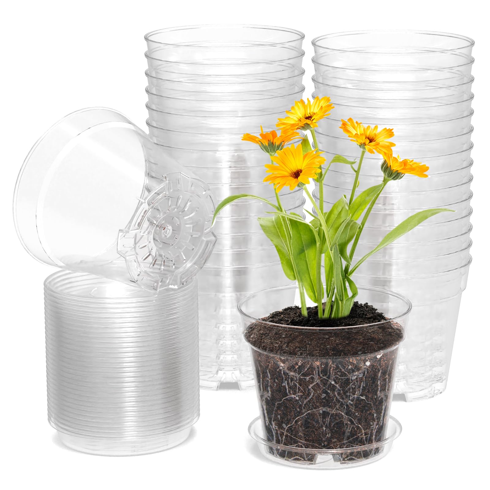 WSMKSZ 4 inch clear nursery pots 30 pack