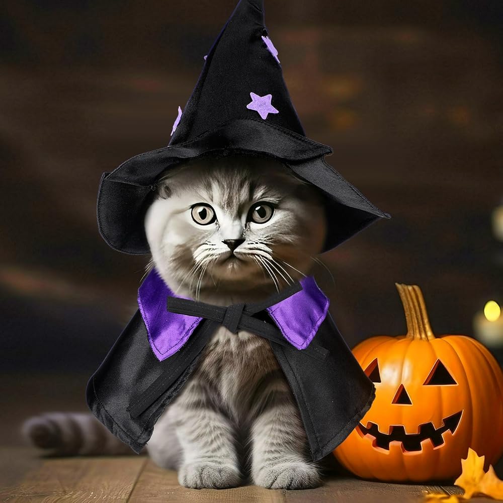 6-Piece Halloween Pet Costume Set with Witchy Style view 4