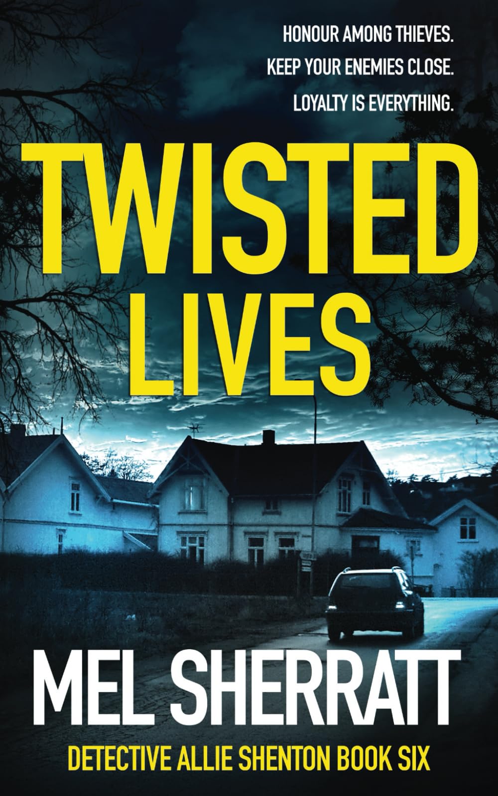 Twisted Lives: A gripping detective crime thriller (Detective Allie Shenton)