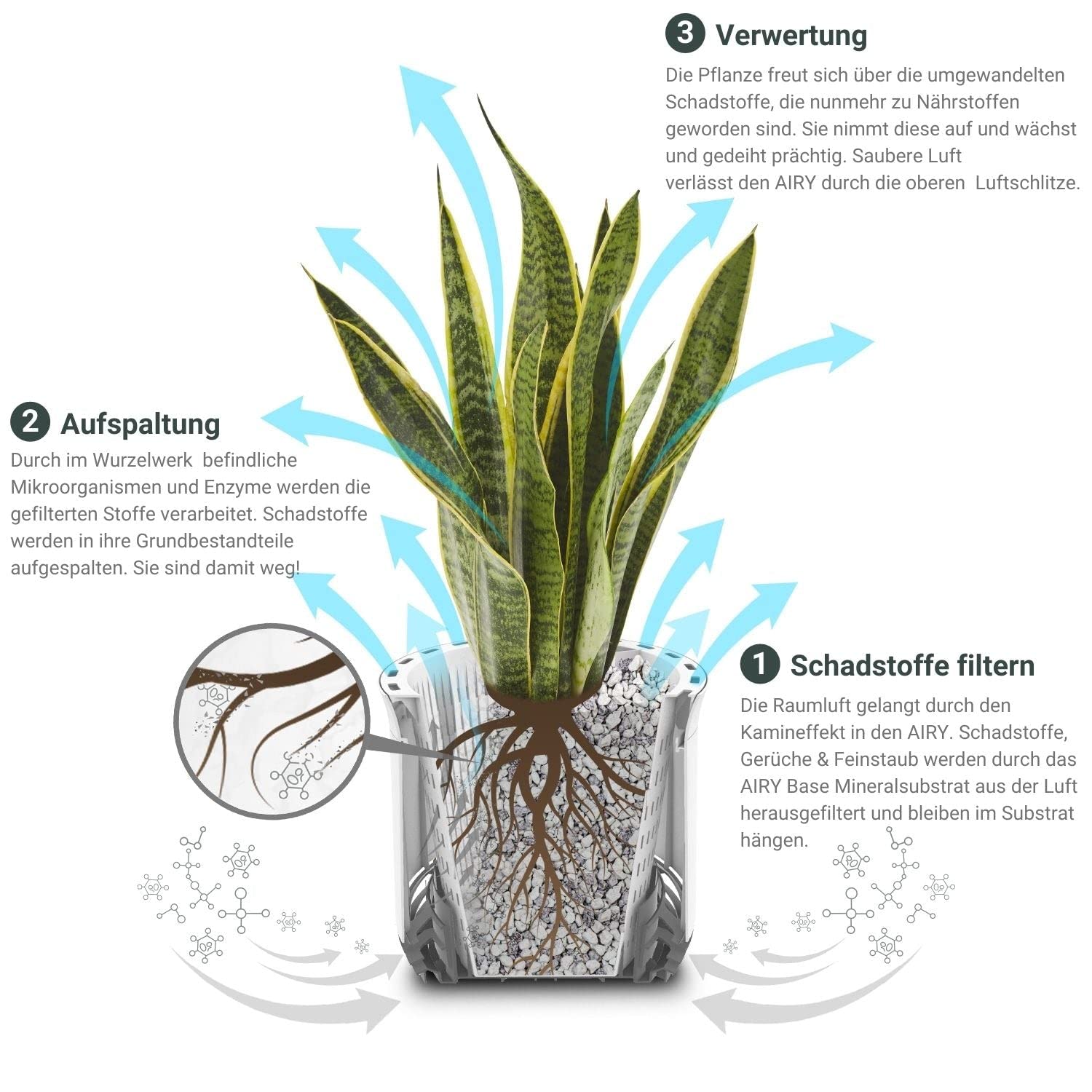 AIRY System oczyszczacza powietrza S z Bogenhanf i 3-litrowym Airy Base • Naturalny filtr powietrza usuwa szkodliwe substancje, alergeny i zapachy • Idealny do pomieszczeń o powierzchni ok. 10 m²
