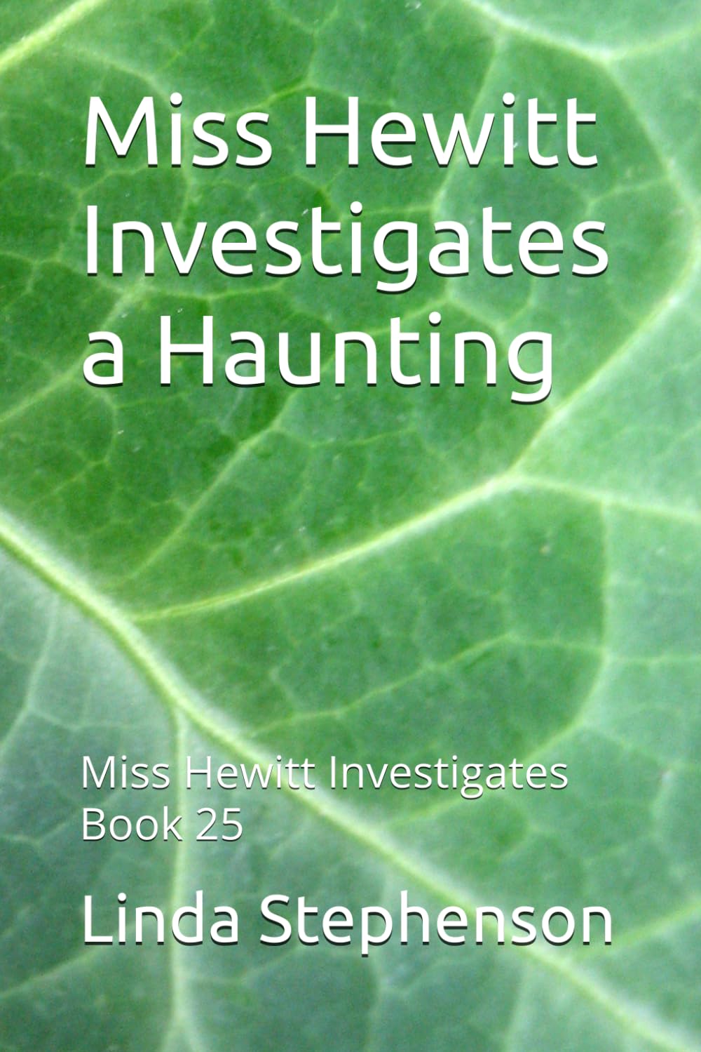 Miss Hewitt Investigates a Haunting: Miss Hewitt Investigates Book 25