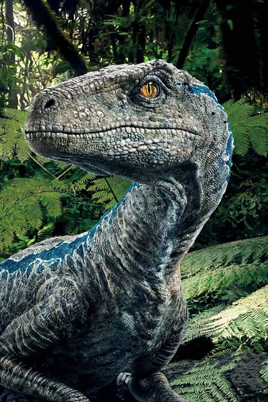 Malen Nach Zahlen Set Für Erwachsene – Ölgemälde Zum Selbermachen, Jurassic Park Motiv, 40,6 X 50,8 Cm, Inkl. Leinwand & Pinsel