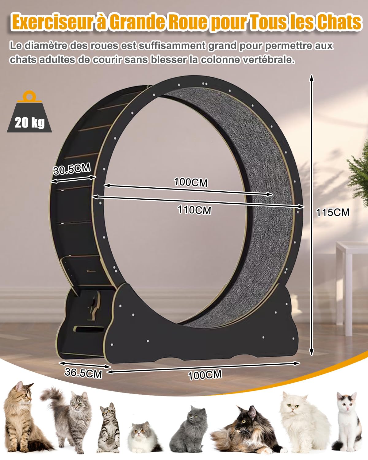 Roue pour Chat Grande d'exercice 110cm - Tapis Roulant en Bois Massif Noir pour Chats Intérieur avec Serrure