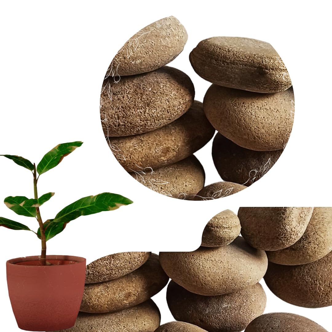 RM Brown Stone | Pack of 5kg (2-4 inch) Decorative for Home,Office, Fountain, Vase Fillers,Table Scatter, Wedding, Beads for Aquarium | Gravels Stone Landscaping Gardening Space Filler-image-16