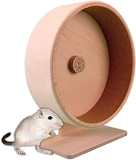 Getzoo Ø 30 cm Korklaufrad (Ø 28,4 cm Innen) mit austauschbarer Korkeinlage I Vielseitiges, artgerechtes Laufrad I Leise, Pfoten-schonend I Hochwertiges Holz | Geeignet für Hamster