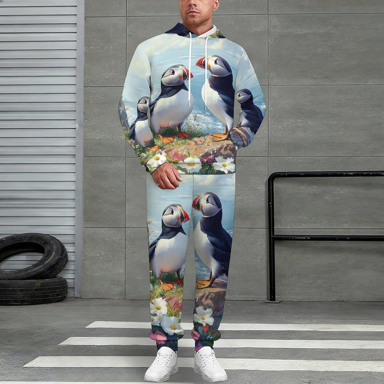 Puffines Birds Adult 2 Piece Tracksuits Hoodie Sweatshirt And Joggers Sweatpants Sweat Suit Outfits