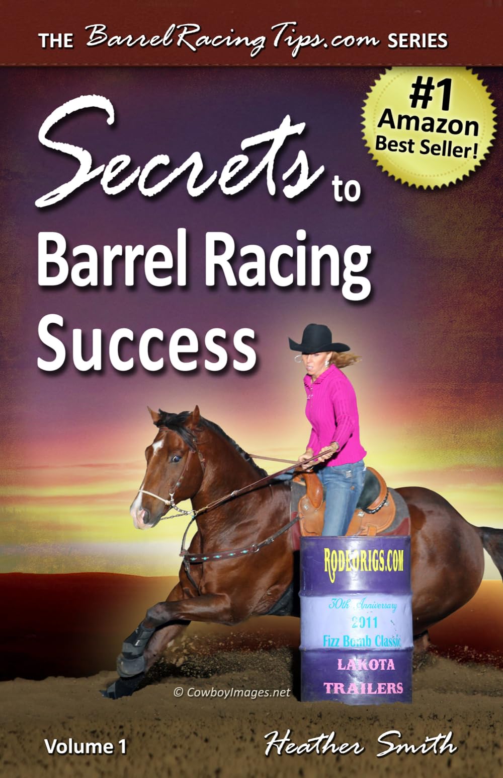 Secrets to Barrel Racing Success: Volume 1