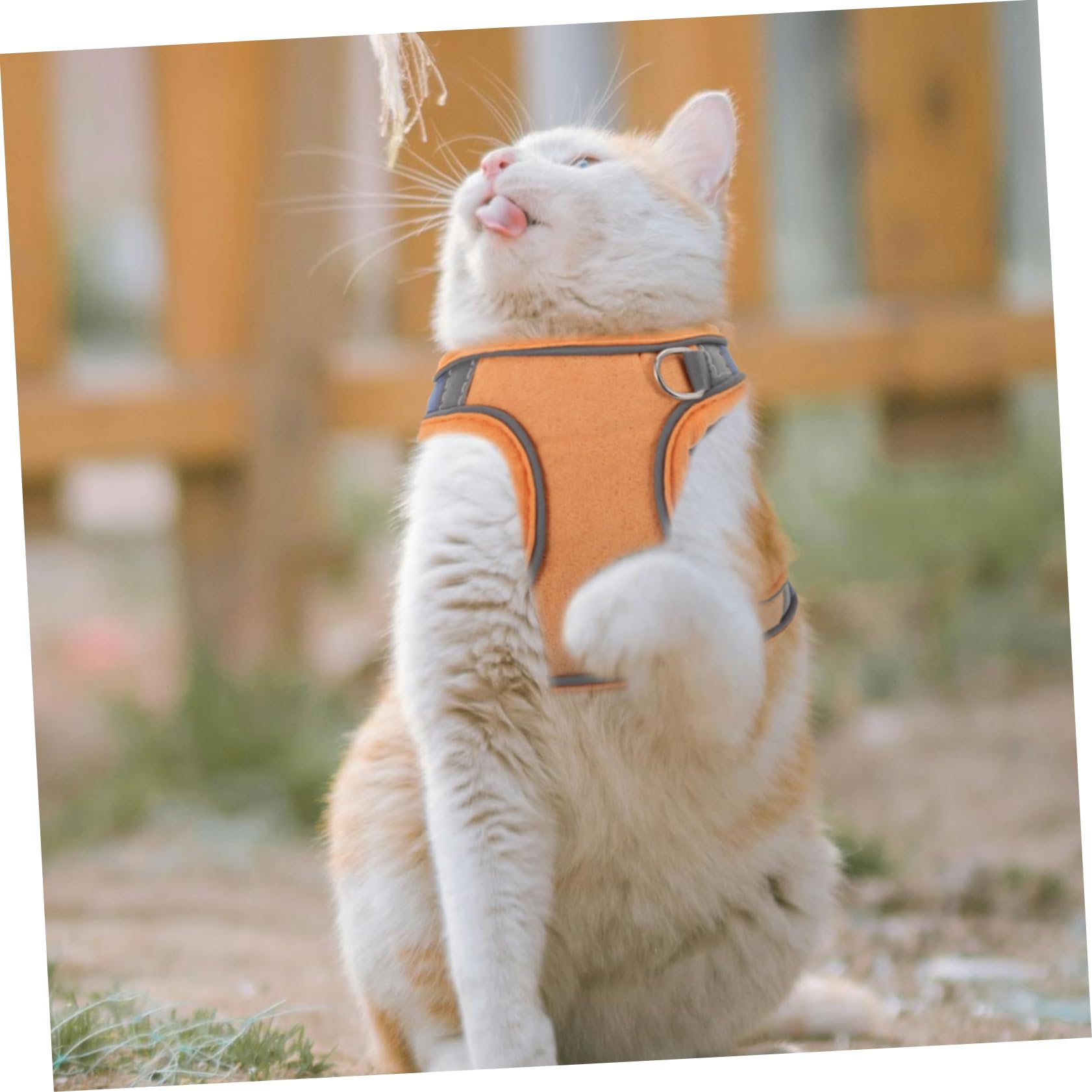 POPETPOP 3sets Pettorina Riflettente Per Cani e Gatti Guinzaglio Morbido e Traspirante Microfibra Completo Per Addestramento e Passeggiate Adatta Taglie