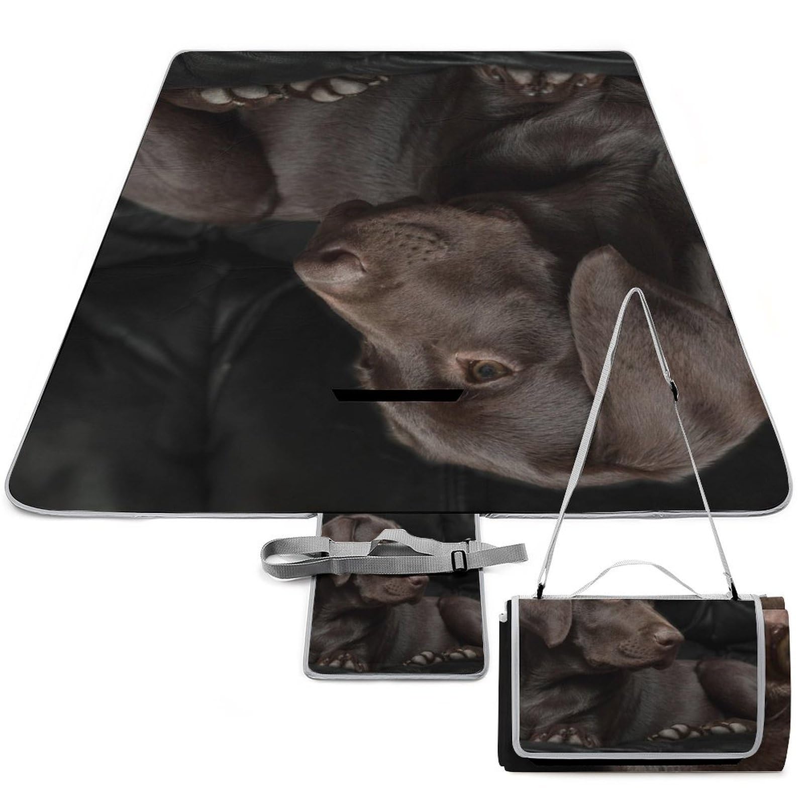 Couverture de camping pliable pour pique-nique en famille au parc avec motif Labrador