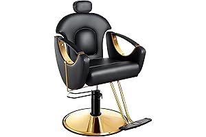 Baasha Salon Chair: Comfort and Style for the Modern Salon