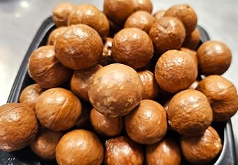 Macadamia Nuts - Raw In shell (whole) Medium size (2 LB)