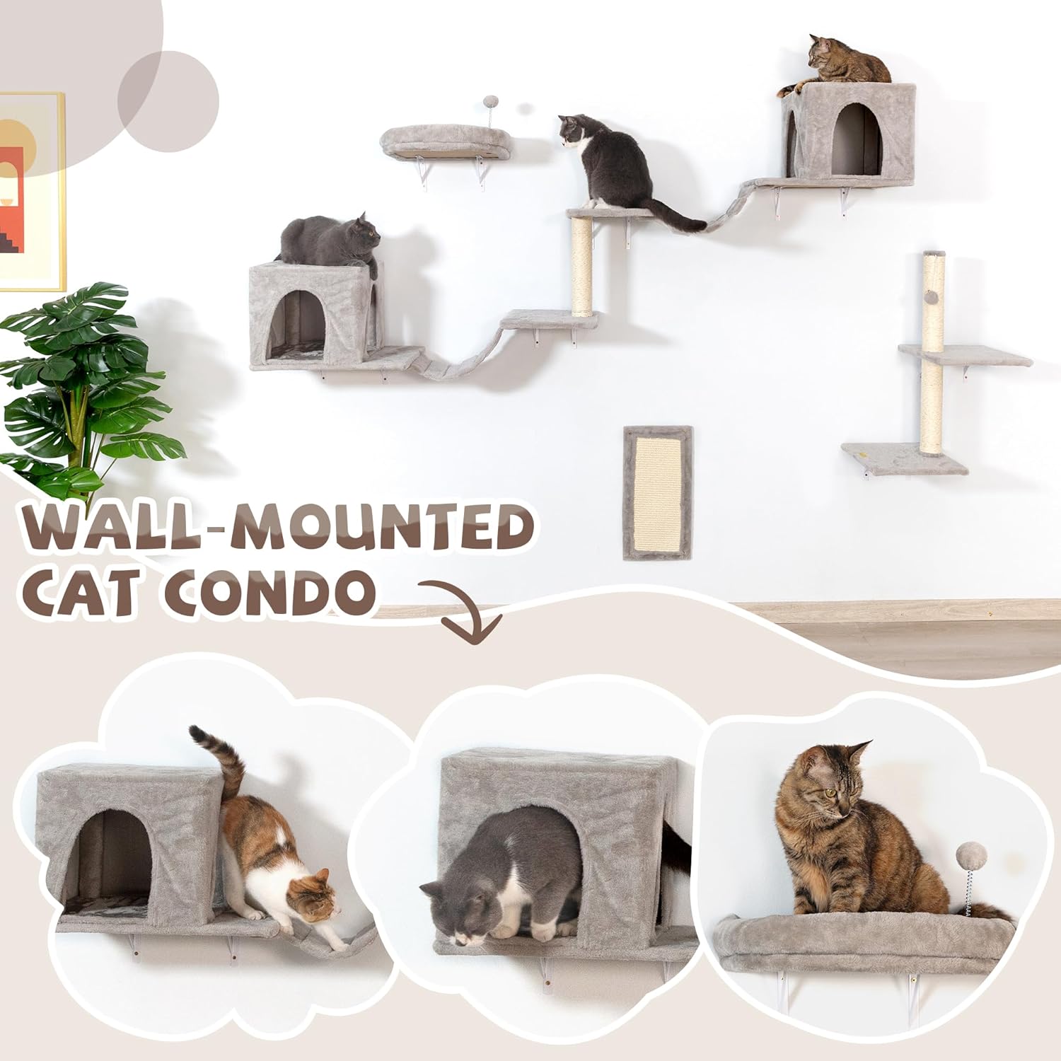 A cat entering a wall-mounted condo, demonstrating the use of the furniture.