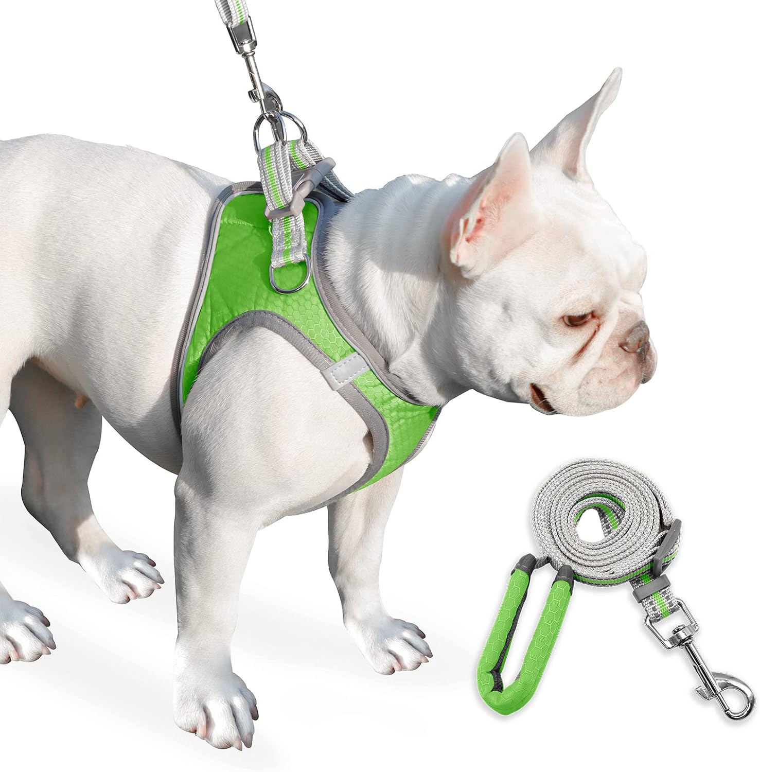 Dog Harness, Dog Harness and Leash Set, Pet Vest Harness, Puppy Cat Vest Harness Escape Proof, Chihuahua Harness, XXS Puppy Harness, Dog…
