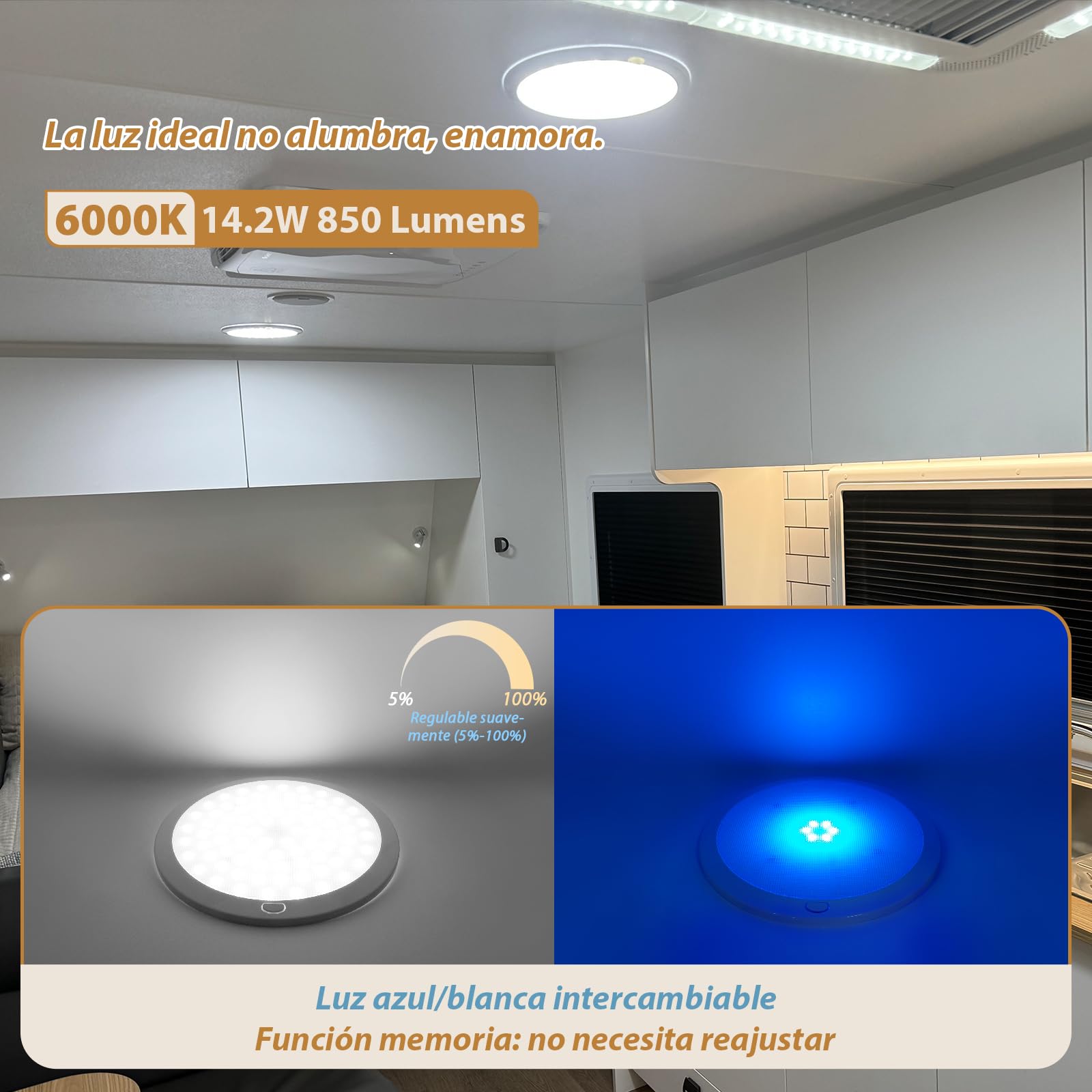 Dream Lighting Luz 12v Atenuable para Caravana Autocaravana Camper Furgoneta Plafon LED Techo con Interruptor 21,6CM Redondo Lampara 6000K Blanco Frío y Azul