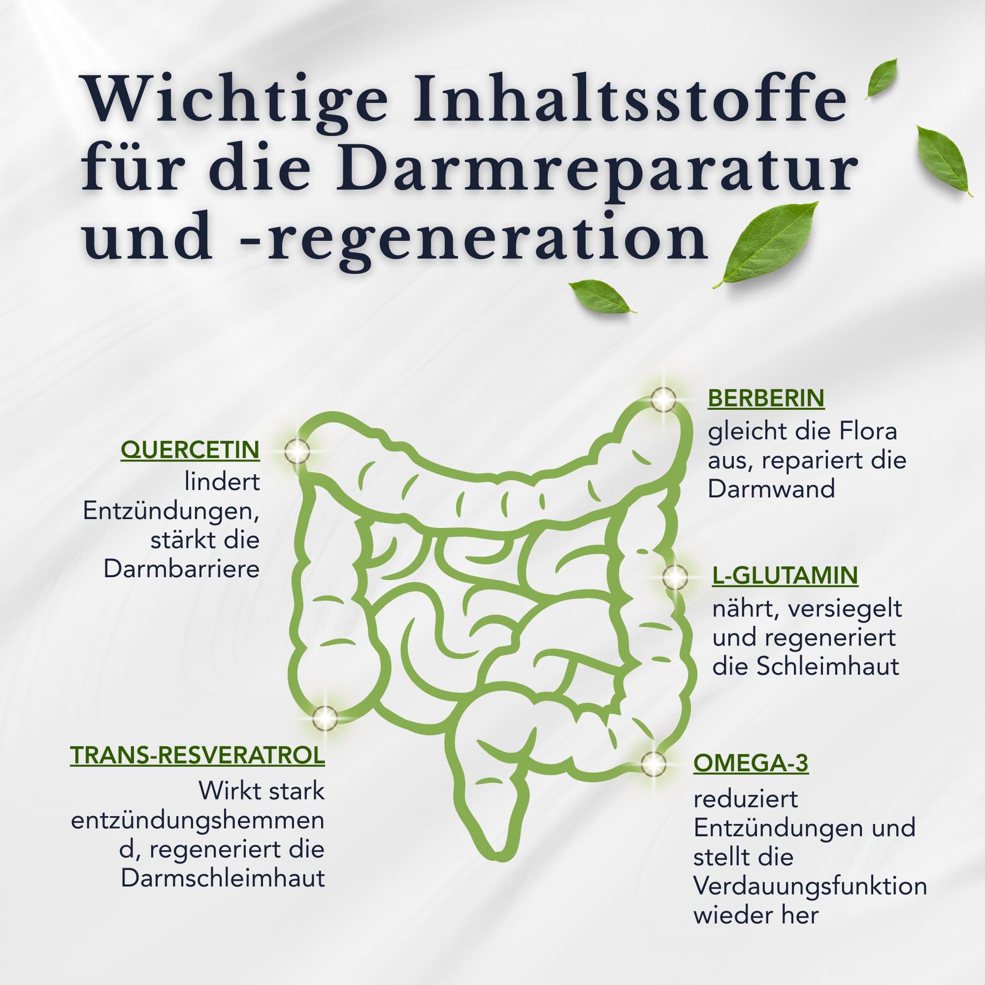 Trans-Resveratrol, L-Glutamin, Berberin, Quercetin, Omega 3 TG - SmartAbsorb™ | für Stoffwechsel, Verdauungsgesundheit und Immunabwehr | 28 Tages-Portionen