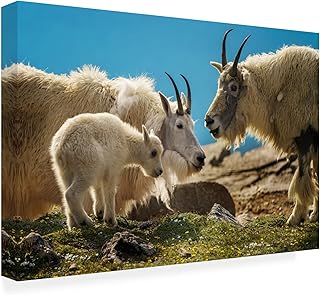 Wrapped Canvas Wall Art - Rick Berk 'Family Dinner' Wall Art for Living Room, Bedroom, or Office Décor - 16x24