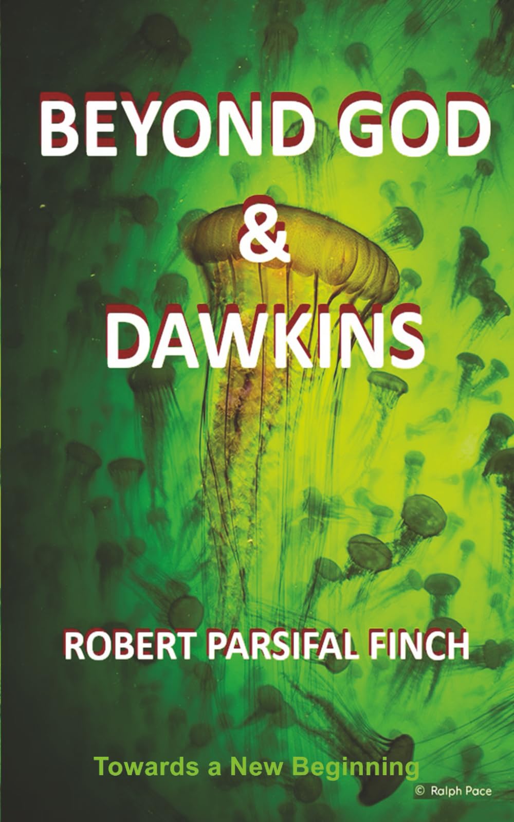 Beyond God and Dawkins: Towards a New Beginning