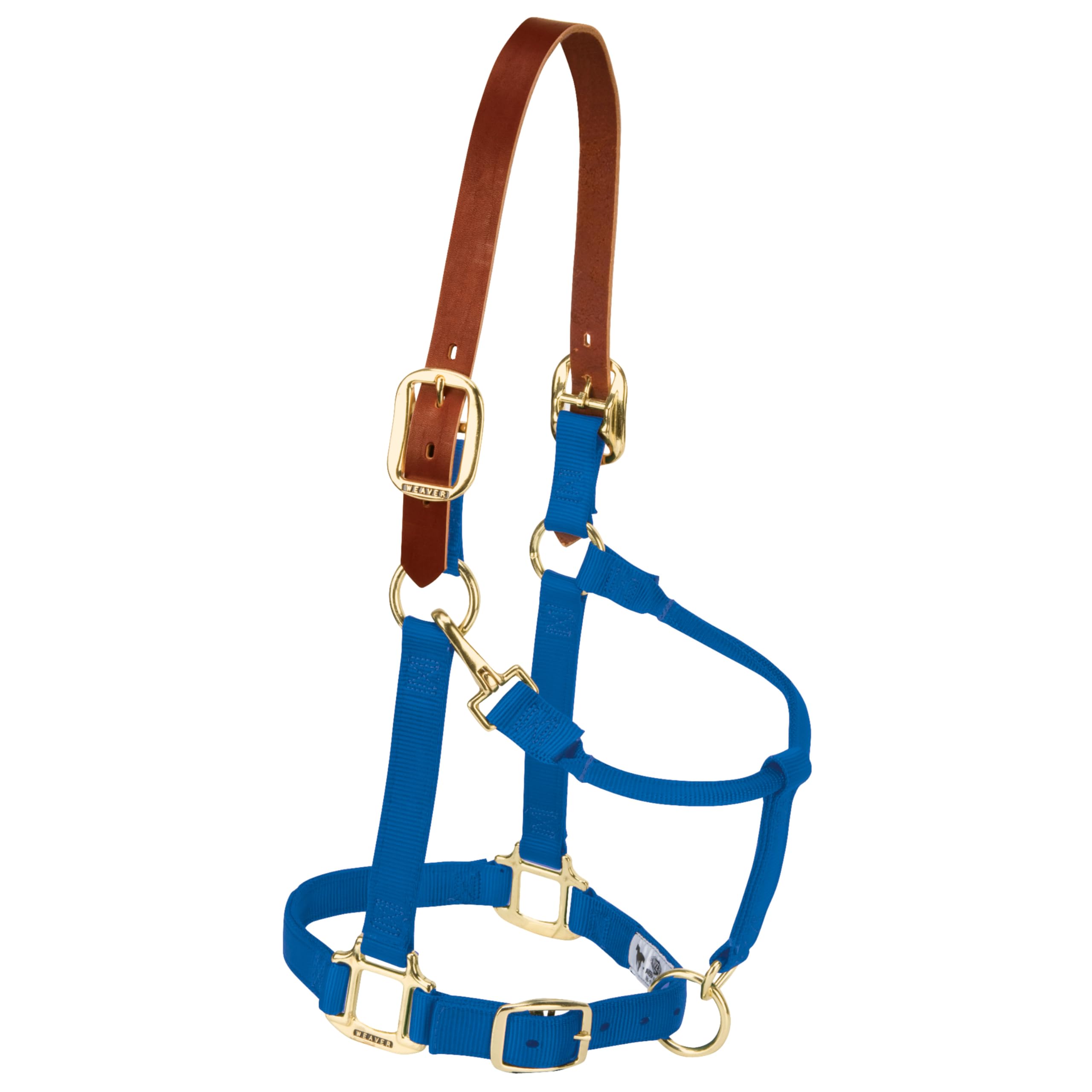 Weaver Leather, Cavezza Regolabile in Nylon per Cavallo, Blu, per svezzamento/Pony
