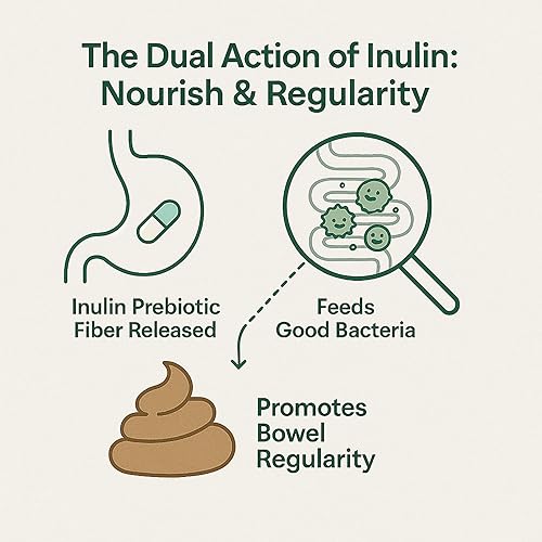 Miniatura 5 de GutCore Suplemento de apoyo digestivo - con inulina, hinojo, jengibre y corteza de olmo resbaladizo - 60 cápsulas