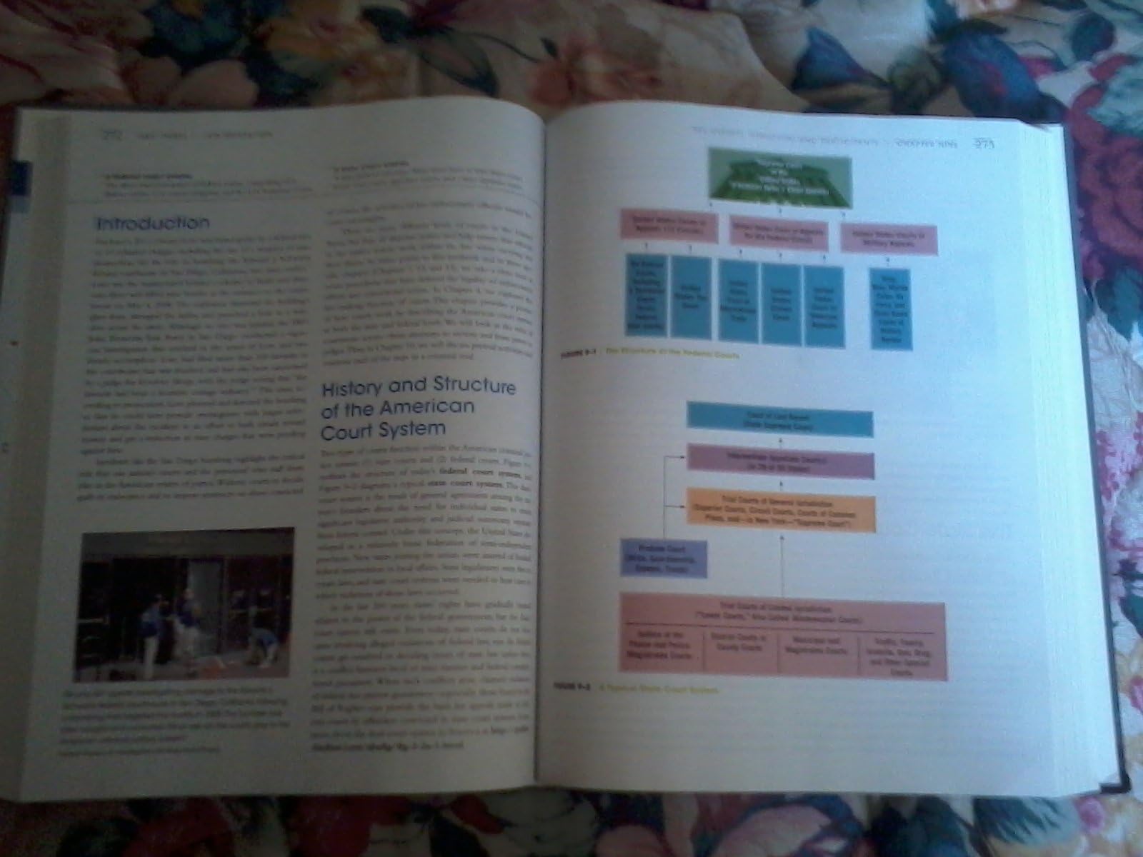 Criminal Justice Today: An Introductory Text for the 21st Century