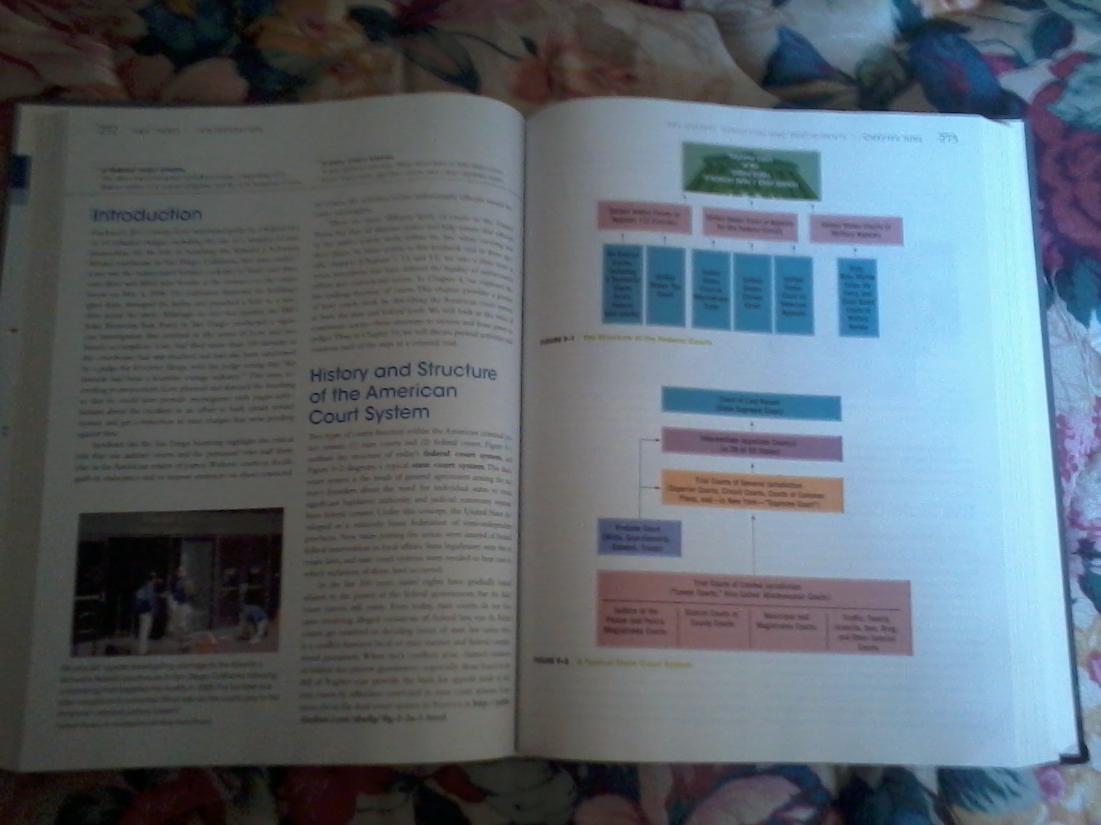 Criminal Justice Today: An Introductory Text for the 21st Century