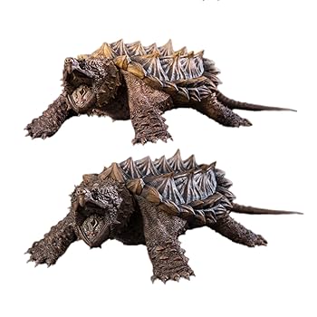 ワニガメ フィギュア Amazon.co.jp: 【動物の惑星】ワニガメ フィギュア完成品