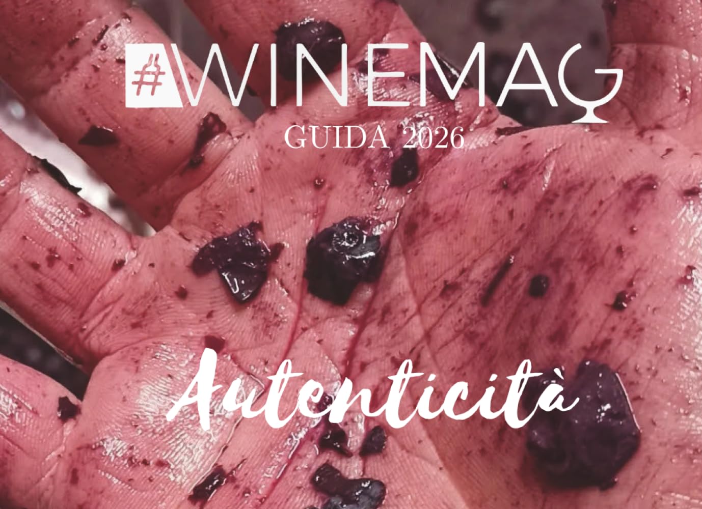 Guida Winemag 2026: Migliori vini italiani