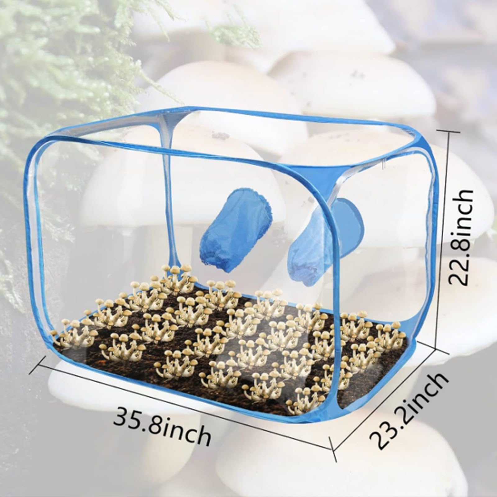Generisch Juego de carpa plegable para cultivo de setas, caja de aire silenciosa, carcasa de ABS transparente plegable con aberturas para guantes para el jardín interior, tienda de jardín interior