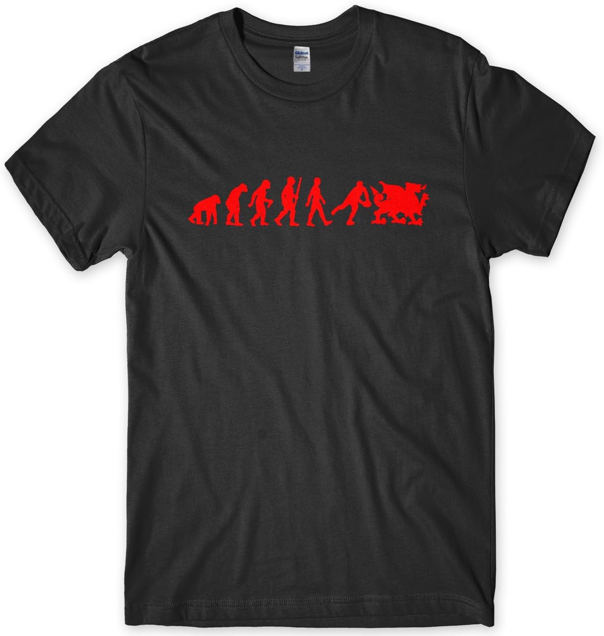 Wales Evolution T-Shirt Welsh Dragon Tee Mens Sport Gift
