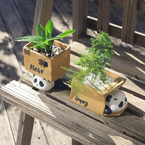 Miniatura 7 de Bonita maceta de panda de resina de animales para suculentas, para escritorio, mini adorno para suculentas, soporte creativo para lápices,