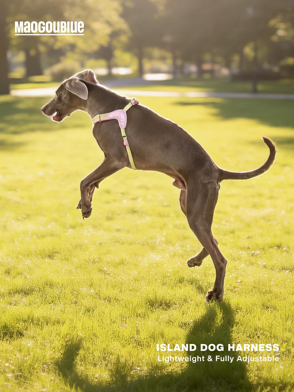 Pettorina per cani No Pull (rosa Sakura, L)