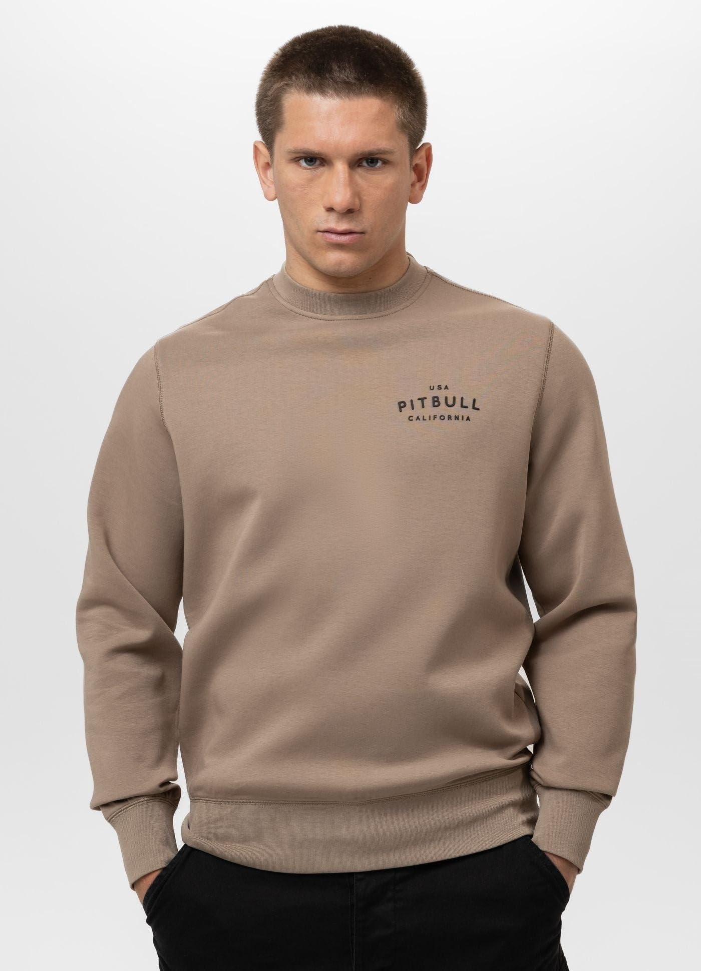 PITBULL - Bluza męska Crewneck Sampson, sweter męski, sportowa bluza z nadrukiem, męska bluza sportowa z długim rękawem