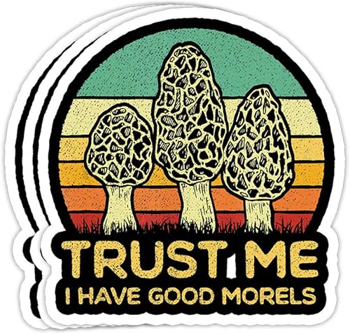 Morel - Divertidas decoraciones de regalo de cazadores de morillas forrajeras de hongos, calcomanías de vinilo de 4 x 3, calcomanía para laptop,