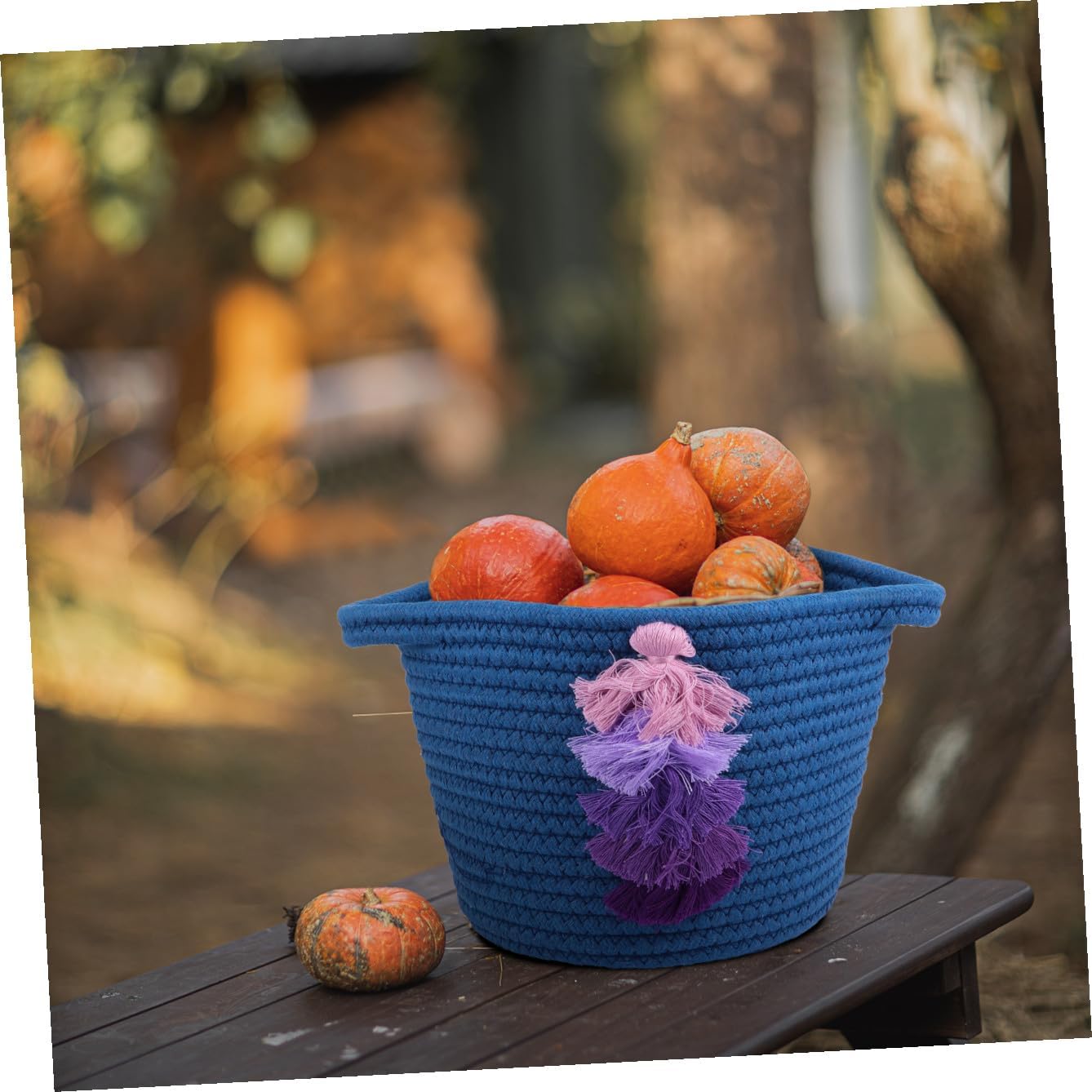 Alipis Woven Storage Basket Decorative Tassels Handmade Storage Bin for Makeup Keys and Sundries Practical Organizer for Bedroom Bathroom and Home Decor