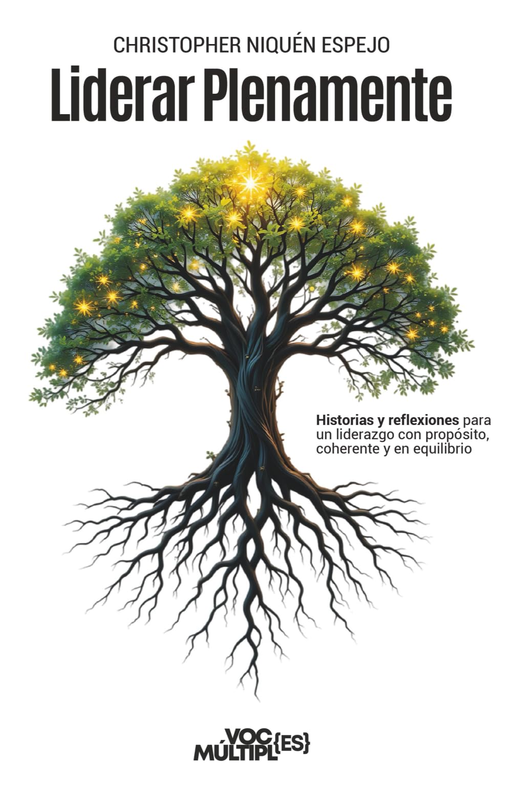 Liderar Plenamente: Historias y reflexiones para un liderazgo con propósito, coherente y en equilibrio