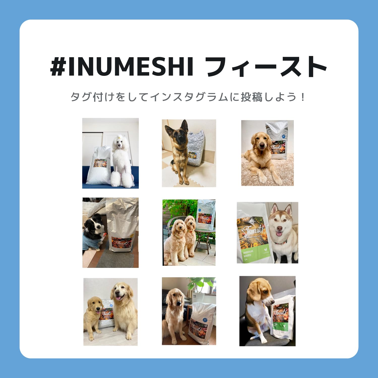 INUMESHI フィースト 子犬用 大型犬用 3袋 Amazon.co.jp: INUMESHI フィースト 子犬用 大型犬用 15kg